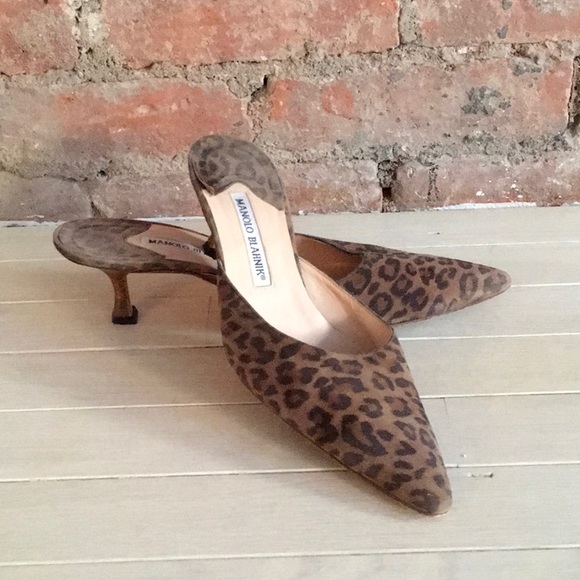 manolo blahnik leopard mules